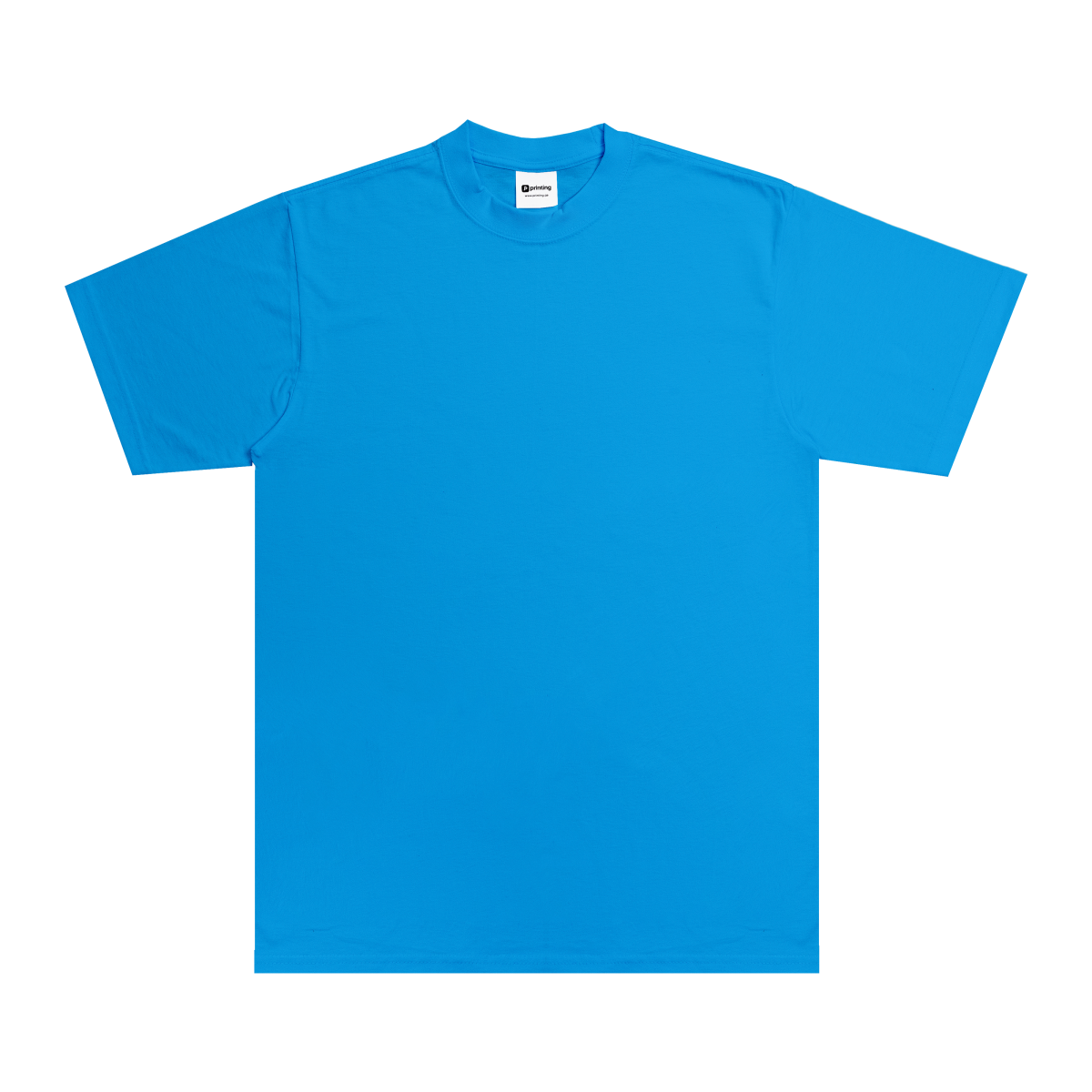 Max Heavyweight T-Shirt - Standard Size - Turquoise