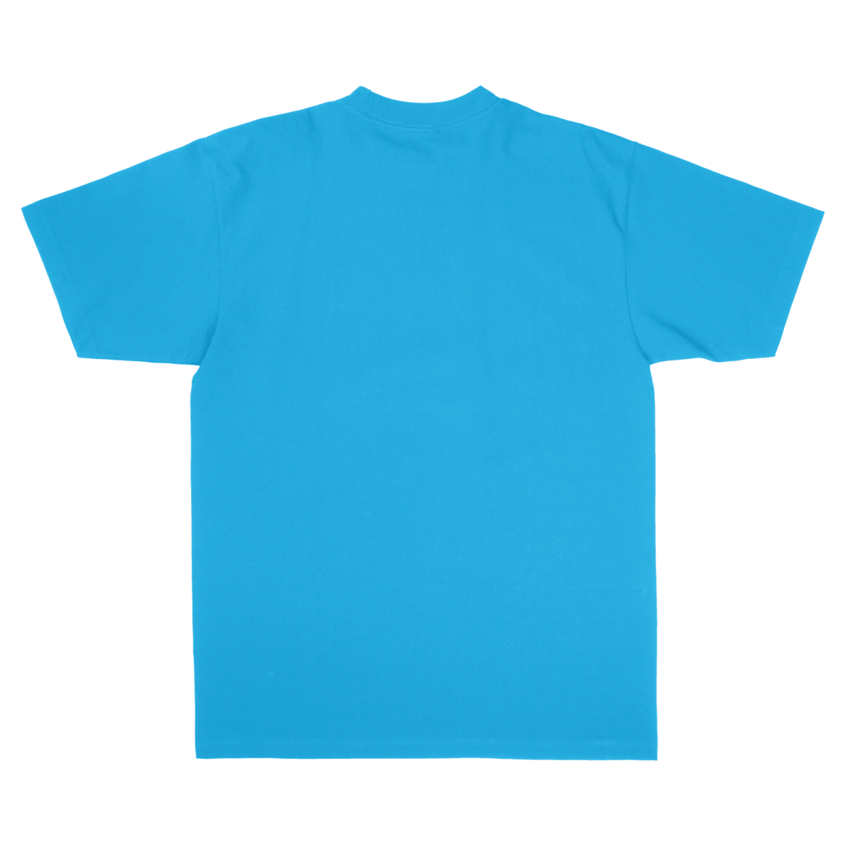 Max Heavyweight T-Shirt - Standard Size - Turquoise